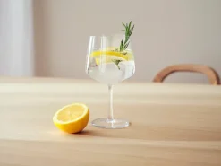 Iittala 2 Copas de cóctel & gin Essence, 63 cl Transparente