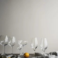 Rosendahl 2 Copas de champagne Premium 37 cl, Transparente Online