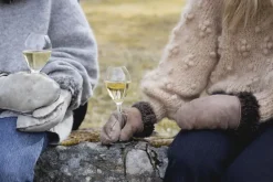 Sagaform Copas De Champagne Y Cava<2 Copas de champagne Saga, Transparente