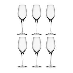Orrefors 6 Copas de champagne Sense 25,5 cl, Transparente Online