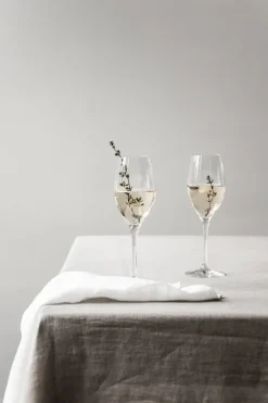 Orrefors 6 Copas de champagne Sense 25,5 cl, Transparente Online