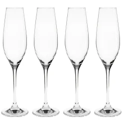 Scandi Living Copas De Champagne Y Cava<4 Copas de champán Karlevi, 21 cl Transparente
