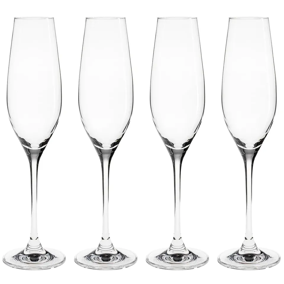 Scandi Living Copas De Champagne Y Cava<4 Copas de champán Karlevi, 21 cl Transparente