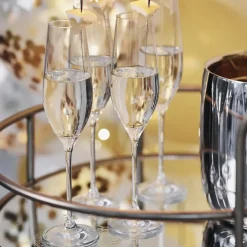 Scandi Living Copas De Champagne Y Cava<4 Copas de champán Karlevi, 21 cl Transparente