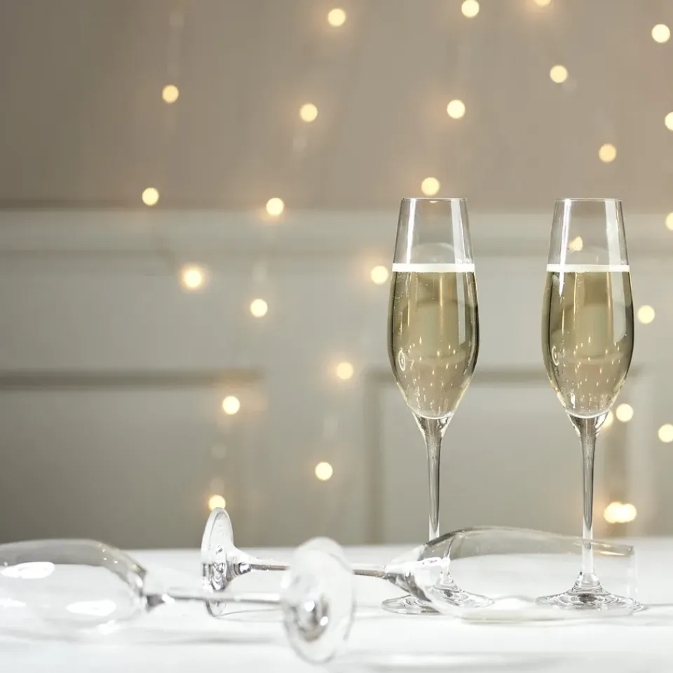 Scandi Living Copas De Champagne Y Cava<4 Copas de champán Karlevi, 21 cl Transparente