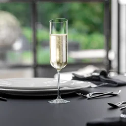 Villeroy & Boch 4 Copas de champán NewMoon, 17 cl Transparente New