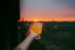 La Rochère Copas De Vino<6 Copas de vino City 26 cl, Transparente