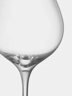 Orrefors 4 Copas de vino More Pinot vinglas 60 cl, Transparente Hot