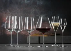 Spiegelau 2 Copas de vino tinto Burgundy Definition 96 cl, Transparente