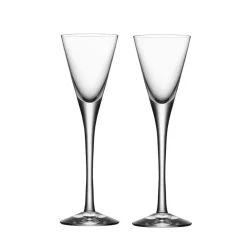 Orrefors 2 Vasos de chupito More, set de 2 Transparente Sale
