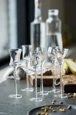 Lyngby Glas 6 Vasos de chupito Rom 2,5-5 cl, Transparente Outlet