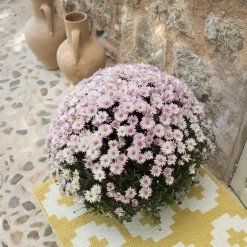 Brita Sweden Alfombra Flower sun, 70x150 cm AmarilloBlanco New