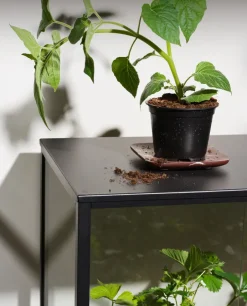 Brafab Armario para plantas Grower Greens, , 81x82 cm Negro Hot