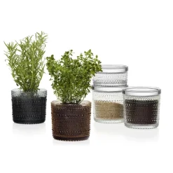 Iittala Botes Y Tarros<Bote cristal Kastehelmi grande, Transparente