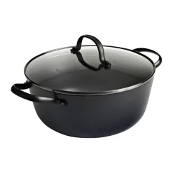 Satake Ollas De Hierro Fundido<Cacerola de hierro fundido ligero con tapa de cristal, 24 cm Negro