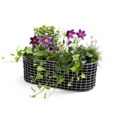 KORBO Maceteros De Terraza<Cesta balcón , acero resistente a los ácidos Plateado