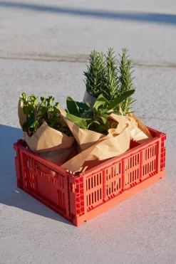 HAY Cesta Colour Crate M 26,5x34,5 cm, Red Rojo Outlet