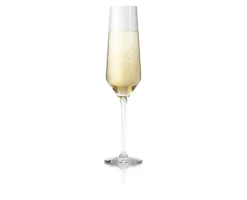 Eva Solo Copa de champagne Legio Nova 26 cl, Set de 6 Transparente