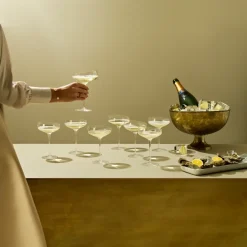 Eva Solo Copa de champán Coupe, 20 cl Transparente