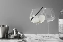 Kosta Boda Copas De Cóctel|Copas Y Vasos Para Bebidas<Copa de gin Aroma, 71 cl, 2-pack, Transparente