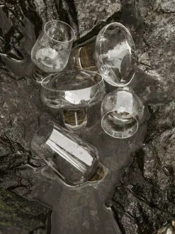 Blomus Vasos De Chupito<Copa de licor Koyoi 13 cl, claro Transparente