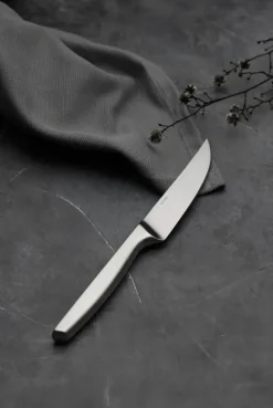Gense Cuchillo de carne Norm 4 unidades, Acero inoxidable mate Plateado Online