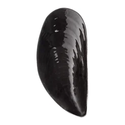 Serax Cuenco M Les Objets Mouleversants Marcel 14x30,5 cm, Black Negro Sale