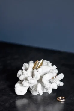 Mette Ditmer Esculturas Y Figuras De Porcelana<Decoración Coral branches white, Small Blanco