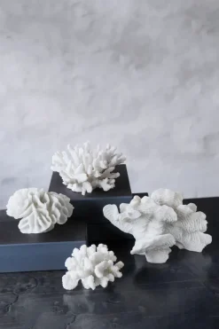 Mette Ditmer Esculturas Y Figuras De Porcelana<Decoración Coral branches white, Small Blanco