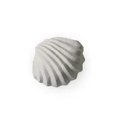 Cooee Design Escultura The Clam Shell 13 cm, Limestone Beige Sale