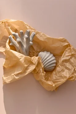 Cooee Design Escultura The Clam Shell 13 cm, Limestone Beige Sale