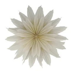 Scandi Living Estrella de Adviento Brisk, Ø50 cm Beige Clearance