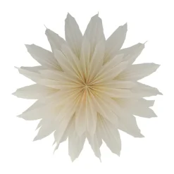 Scandi Living Estrella de Adviento Brisk, Ø50 cm Beige Clearance