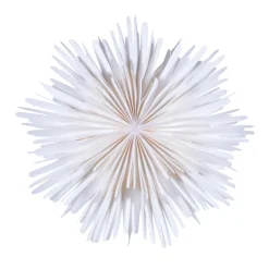 Watt & Veke Estrellas De Navidad<Estrella de Adviento Molly Ø44 cm, Blanco