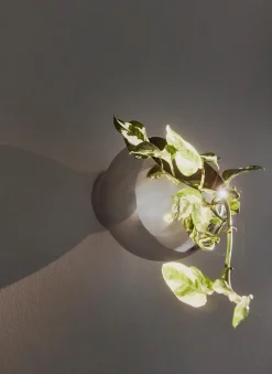 AYTM Macetas De Exterior|Detalles De Jardín Y Accesorios De Exterior<Maceta de pared Globe Ø17 cm, Plata Plateado