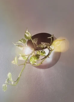 AYTM Macetas De Exterior|Detalles De Jardín Y Accesorios De Exterior<Maceta de pared Globe Ø17 cm, Plata Plateado