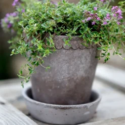Bergs Potter Macetas De Exterior<Maceta Helena Ø10 cm, Gris