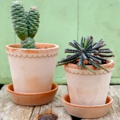 Bergs Potter Maceta Helena Ø14 cm, Rosa Best