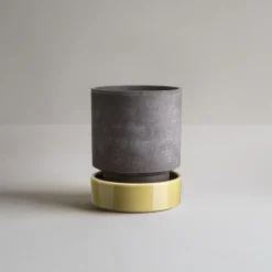 Bergs Potter Maceta Hoff, Ø18 cm, Raw Grey-Pale Yellow GrisAmarillo Outlet
