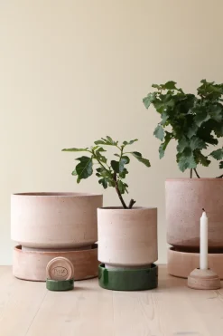 Bergs Potter Maceta Hoff, Ø16 cm, Raw Rosa-Deep Burgundy RosaPúrpura Hot