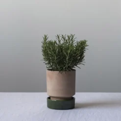 Bergs Potter Maceta Hoff, Ø18 cm, Raw Rosa-Emerald Green RosaVerde New