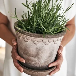 Bergs Potter Maceta Københavner 21 cm, Gris Outlet