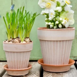 Bergs Potter Macetas De Exterior|Macetas<Maceta Simona Ø18 cm, Rosa