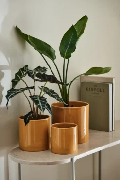 Scandi Living Maceta Sleek Ø12 cm, Mostaza Amarillo New