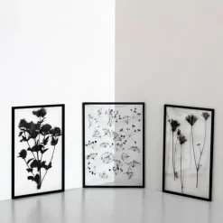 MOEBE Marco Frame A2, Negro New