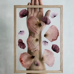 MOEBE Marcos<Marco Frame A4, Roble Marrón