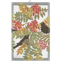 Ekelund Linneväveri Paños De Cocina|Paños De Cocina<Paño de cocina Koltrast, 40 x 60 cm Multi