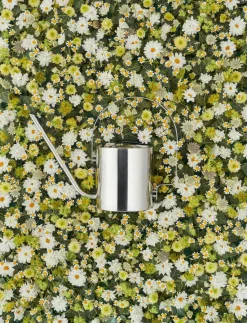 Stelton Regaderas|Regaderas<Regadera Original 1,7 l, acero inoxidable Plateado