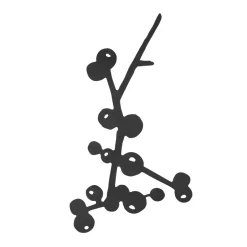 Pluto Design Salvamanteles<Salvamanteles Berry, Negro