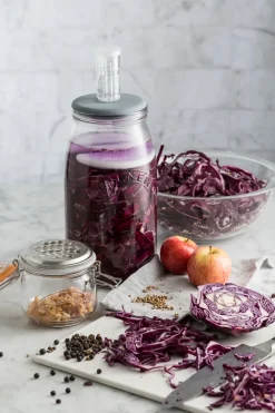 Kilner Set de fermentación 3 l, Transparente TransparenteGris Best